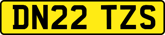 DN22TZS
