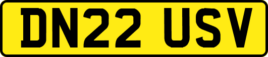 DN22USV