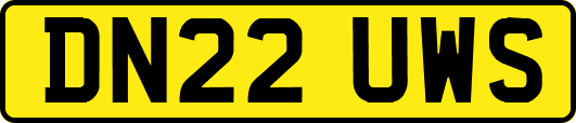 DN22UWS