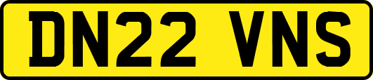 DN22VNS