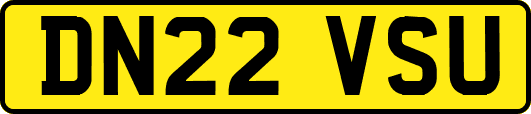 DN22VSU