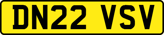 DN22VSV