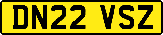 DN22VSZ