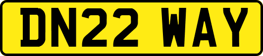 DN22WAY