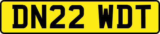 DN22WDT
