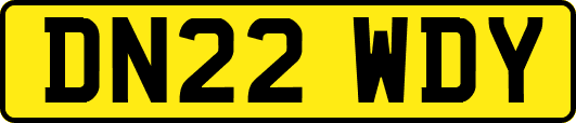 DN22WDY