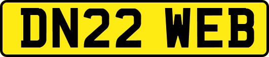 DN22WEB