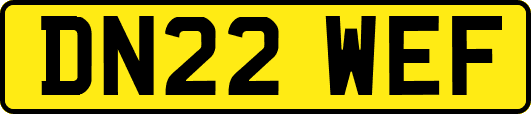 DN22WEF