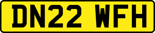 DN22WFH