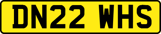 DN22WHS