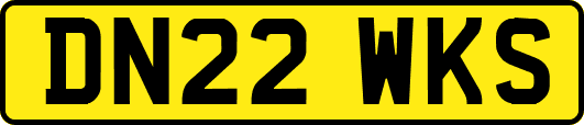 DN22WKS
