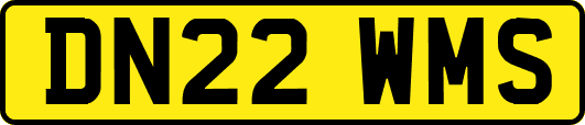 DN22WMS