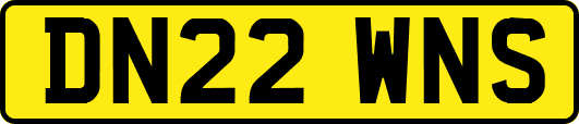 DN22WNS