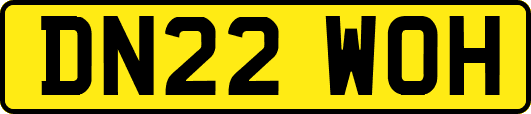 DN22WOH