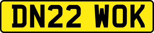 DN22WOK
