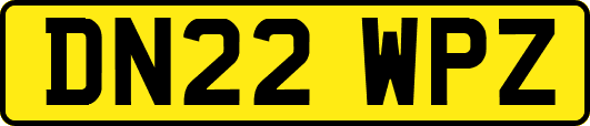 DN22WPZ