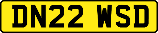 DN22WSD
