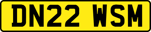 DN22WSM
