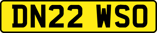 DN22WSO