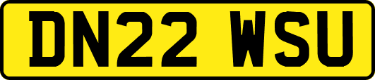DN22WSU