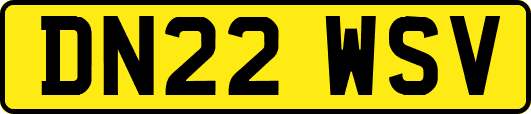 DN22WSV