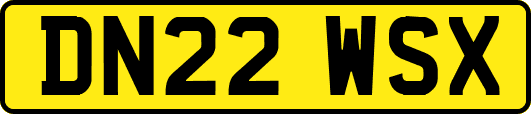 DN22WSX