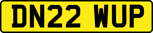 DN22WUP
