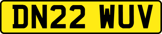 DN22WUV