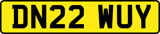 DN22WUY