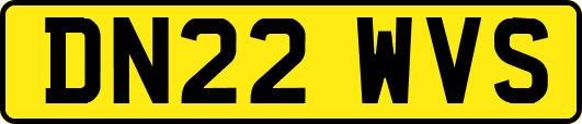 DN22WVS
