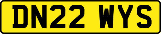 DN22WYS