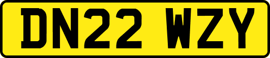 DN22WZY