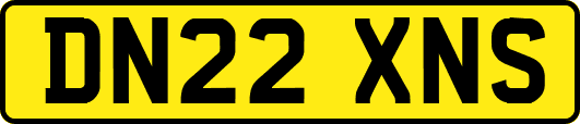 DN22XNS
