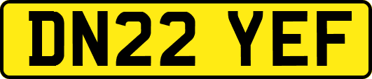 DN22YEF