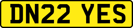 DN22YES