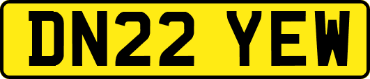 DN22YEW