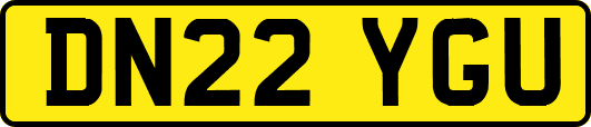 DN22YGU