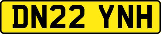 DN22YNH