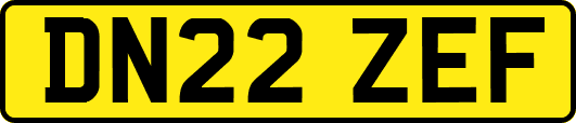 DN22ZEF