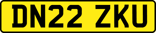 DN22ZKU