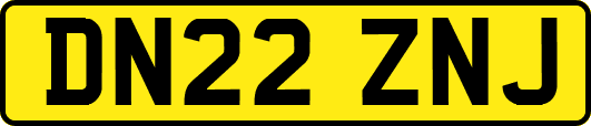 DN22ZNJ