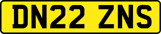 DN22ZNS