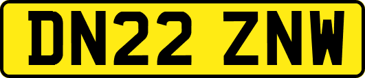 DN22ZNW