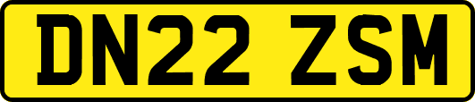 DN22ZSM
