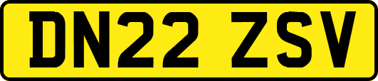 DN22ZSV