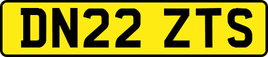 DN22ZTS