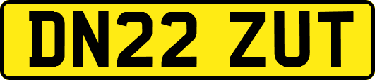 DN22ZUT
