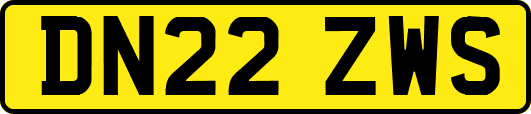 DN22ZWS