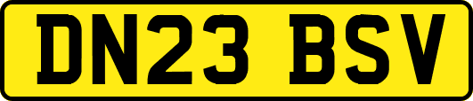 DN23BSV