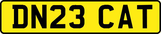 DN23CAT